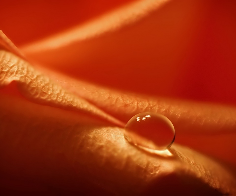 Капелька обои