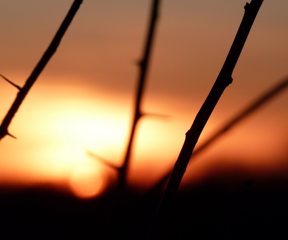 Закат солнца в поле обои