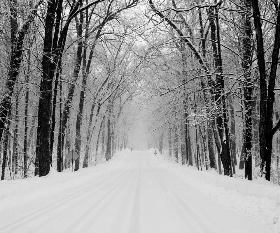 Дорога зимой в парке обои