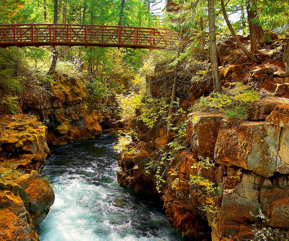 Мостик через реку в лесу обои
