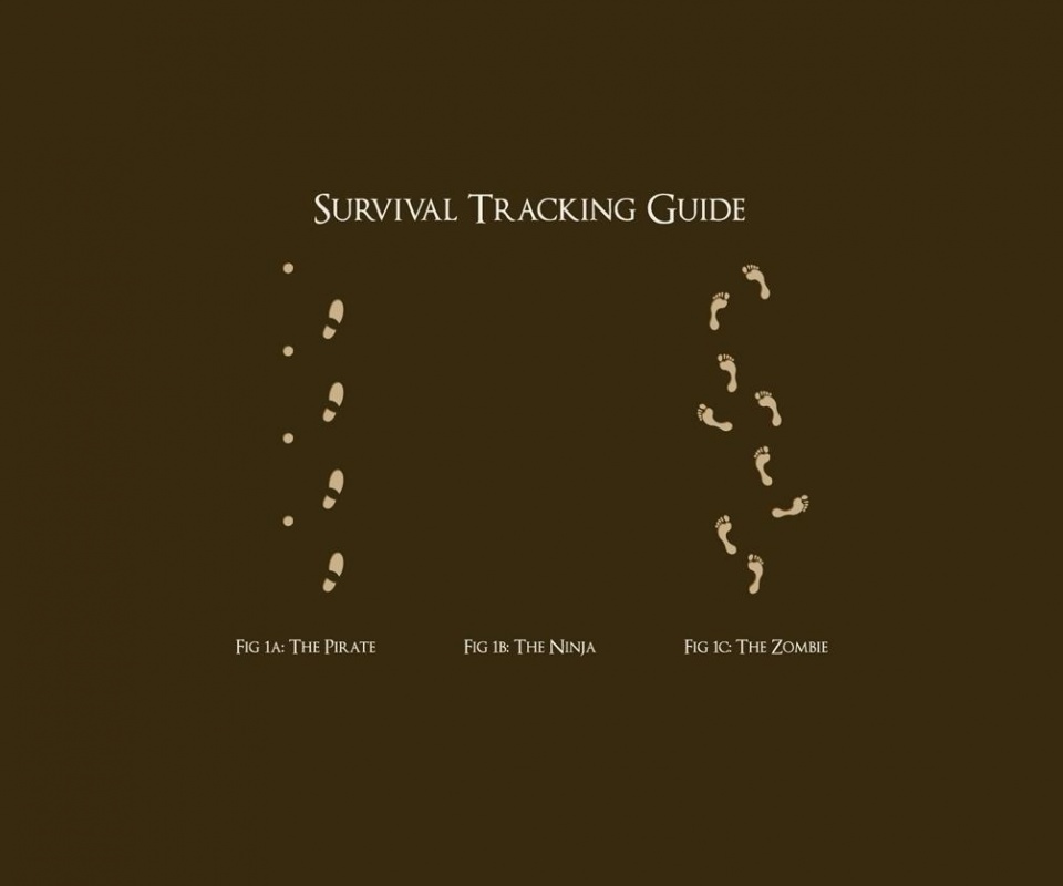 Следы: Пират, Ниндзя, Зомби обои