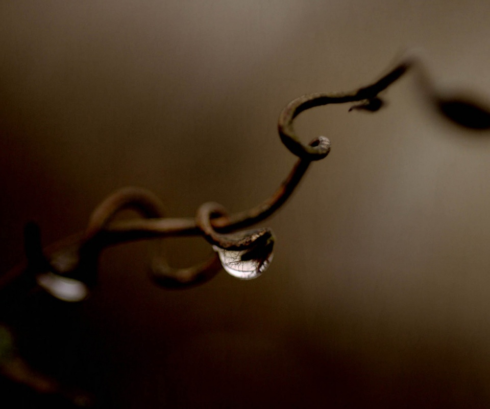 Одинокая капля обои