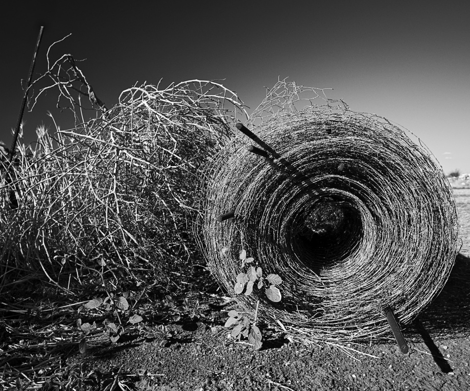 Клубок сена обои