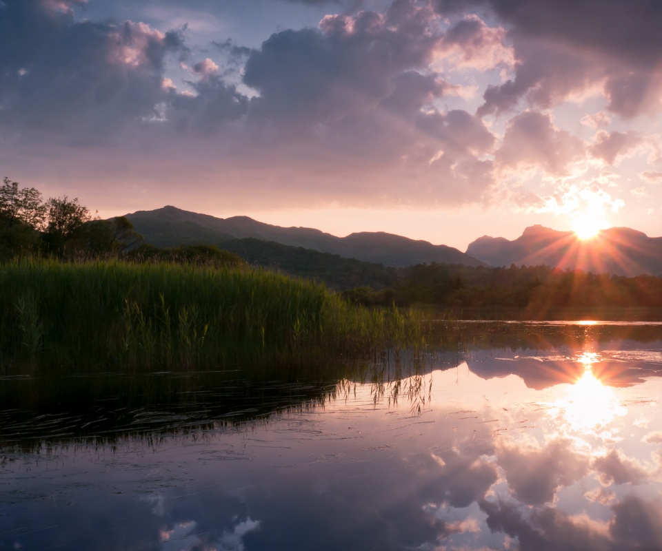 Закат за лесом обои