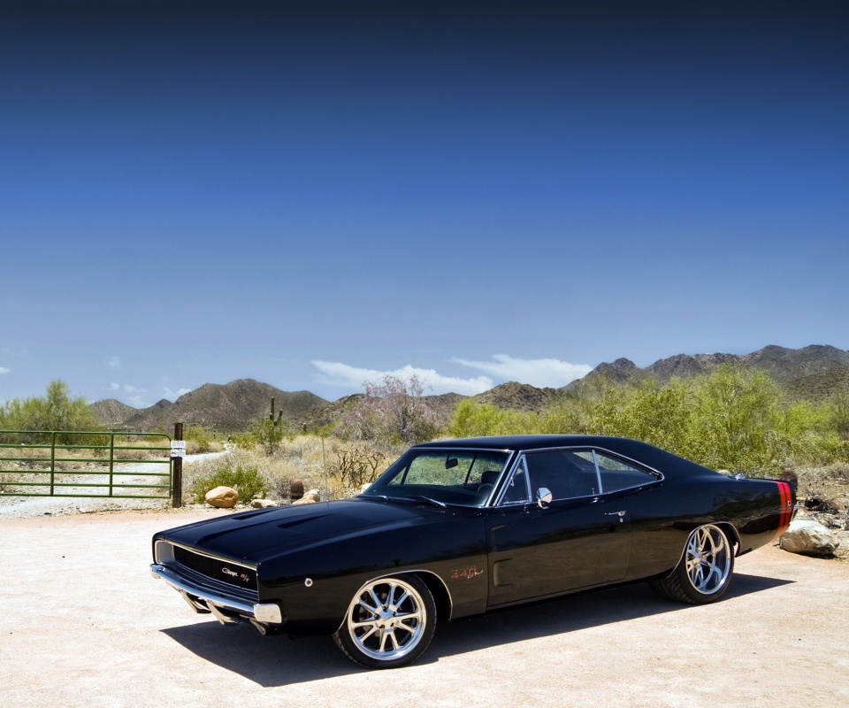 Мускулкар под палящим солнцем обои