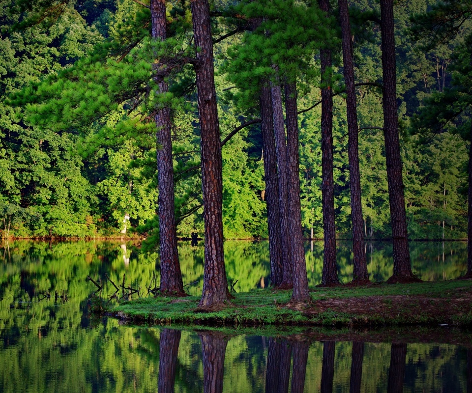 Островок посреди озера обои