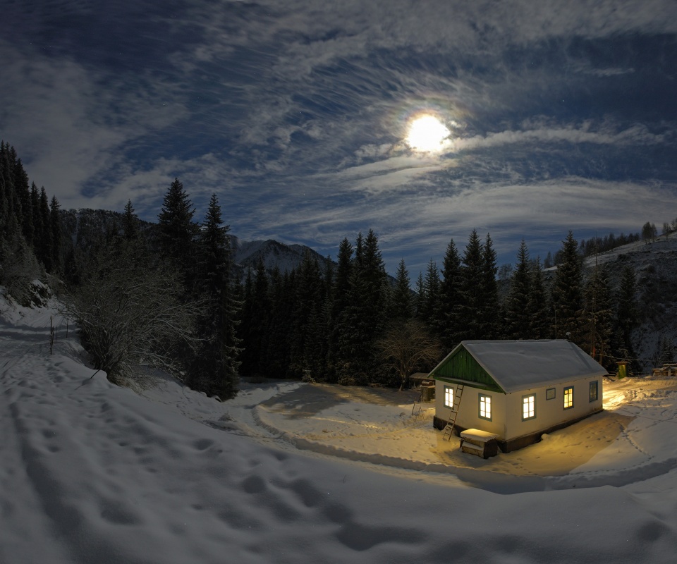 Один в зимнем лесу обои