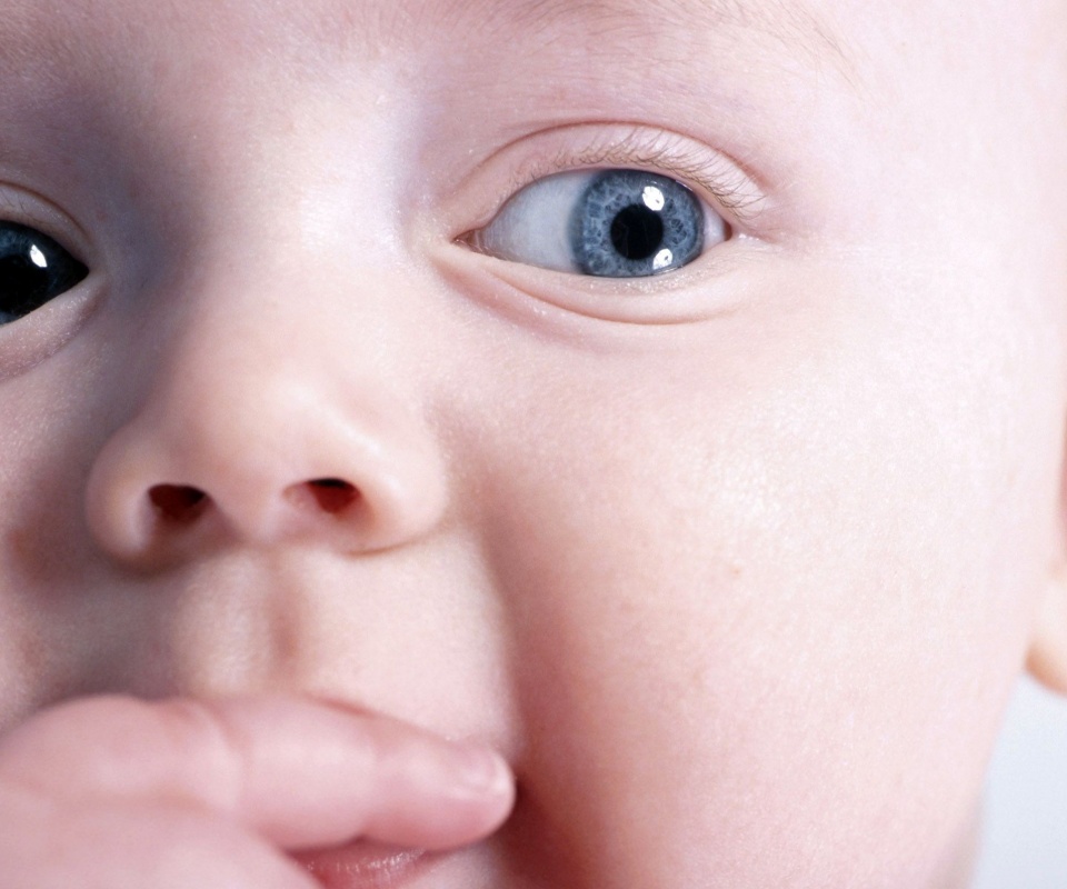 Что-то замышляет... обои