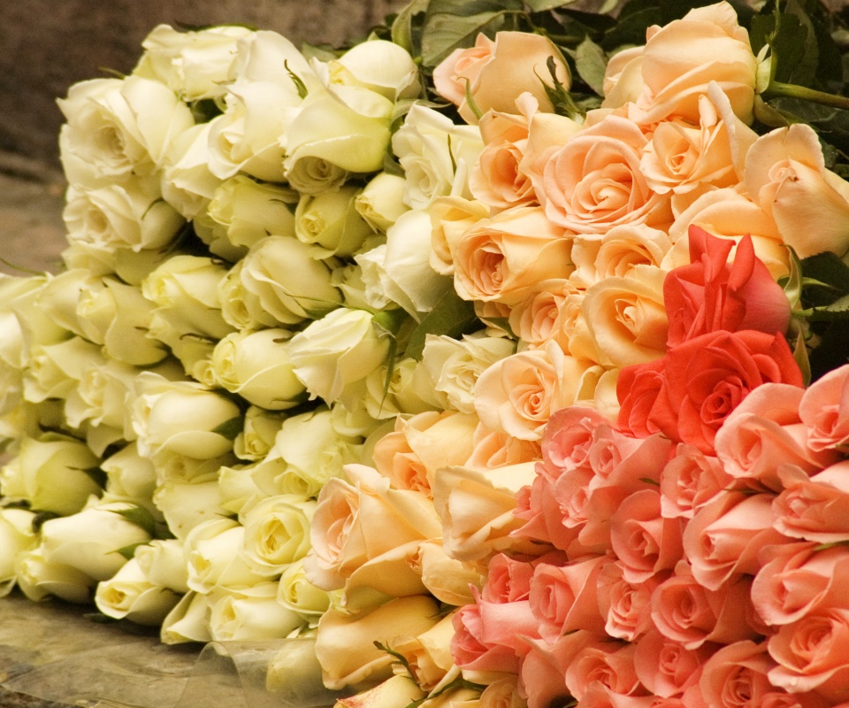 Букеты светлых роз обои