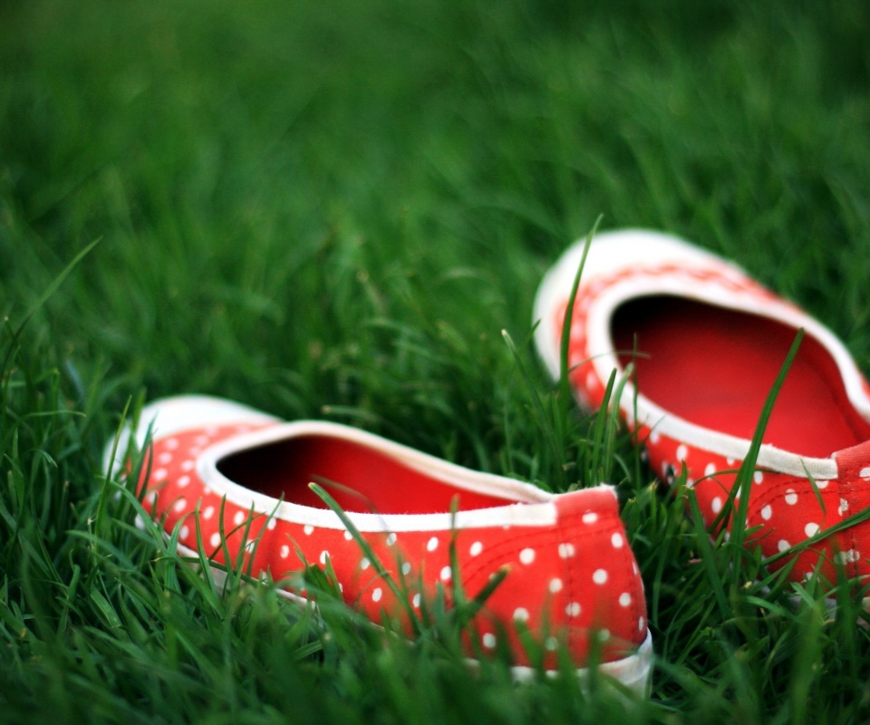 Красные тапки в горошек обои