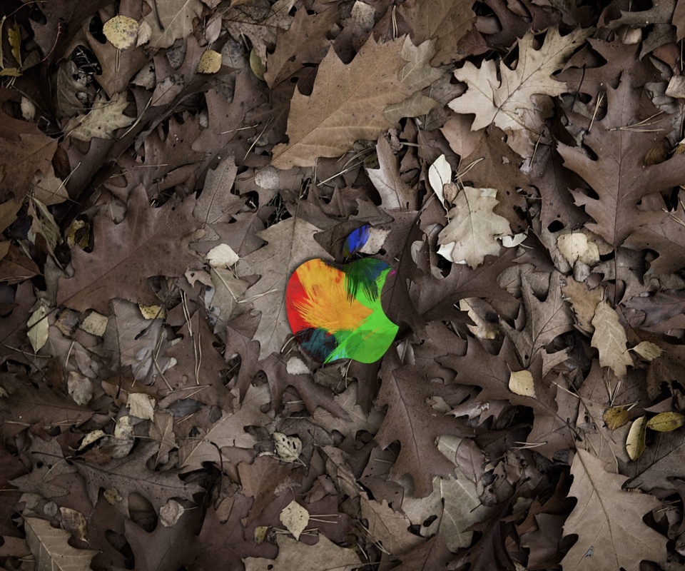 Яблоко в листьях обои