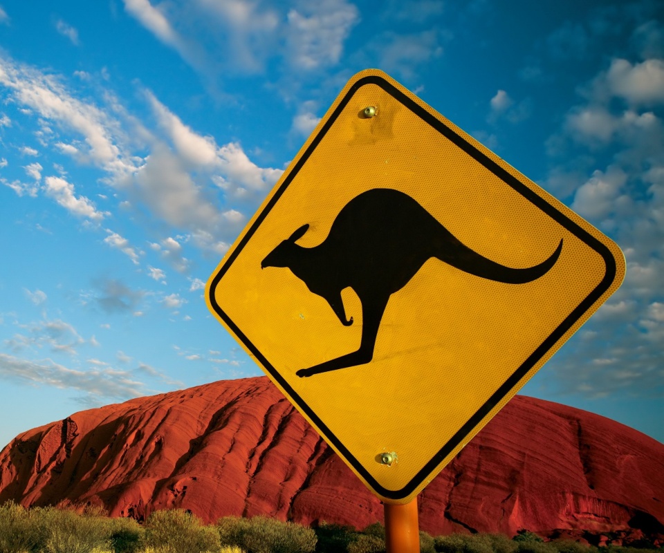 Осторожно, кенгуру! обои