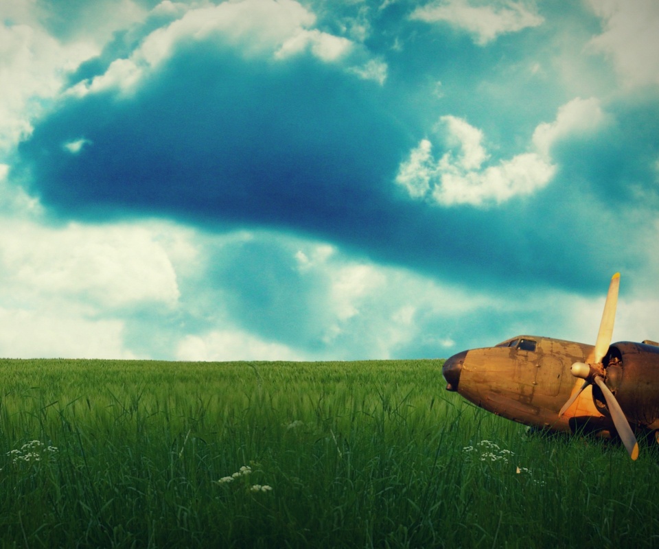 Старый ржавый самолет на лугу обои
