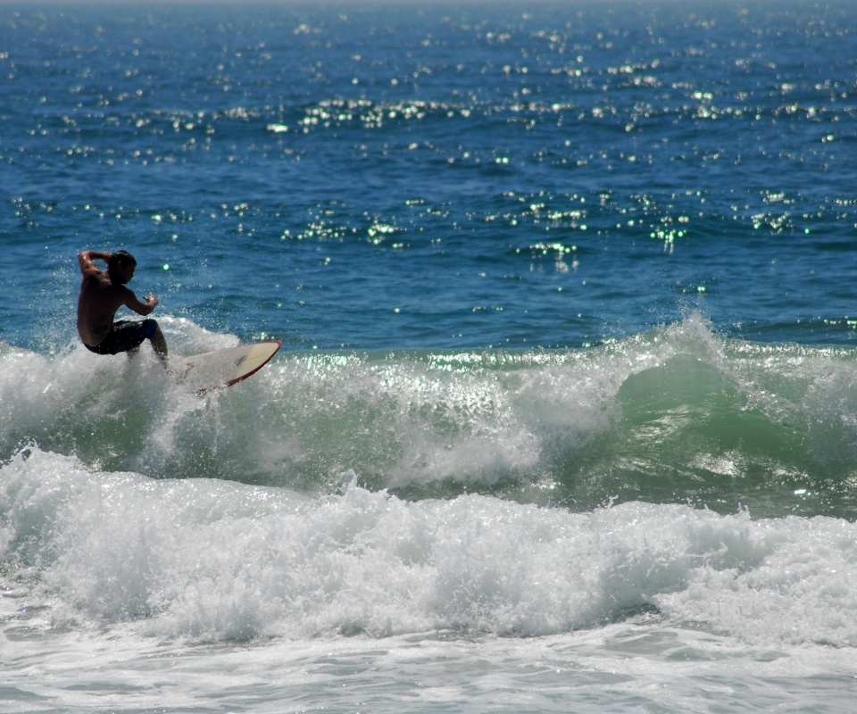 Сёрфенгист поймал волну обои