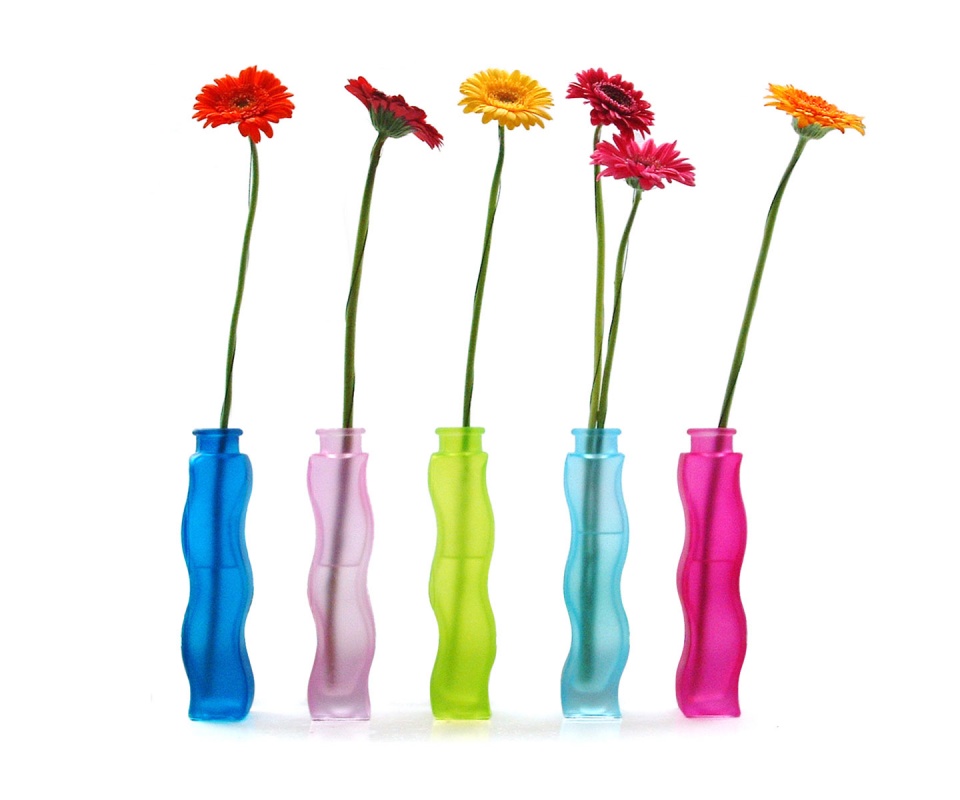 Герберы в изогнутых вазах обои