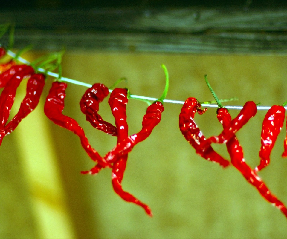 Перчики чили обои
