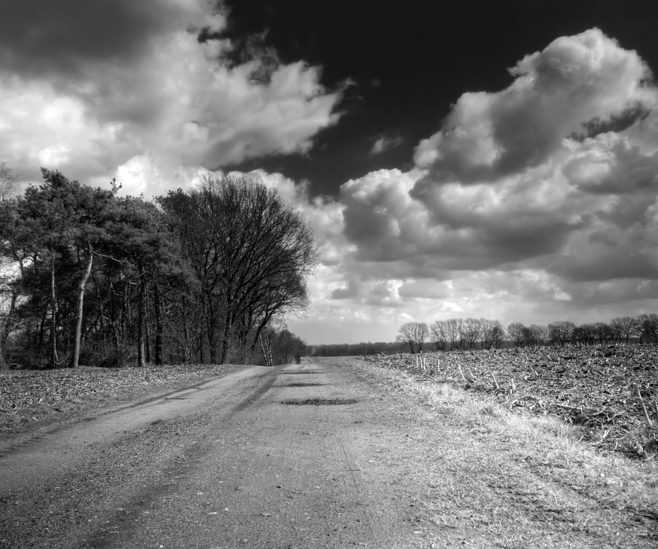 Дорога через поле обои