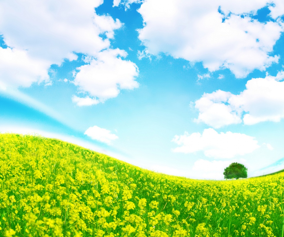 Искаженный мир обои