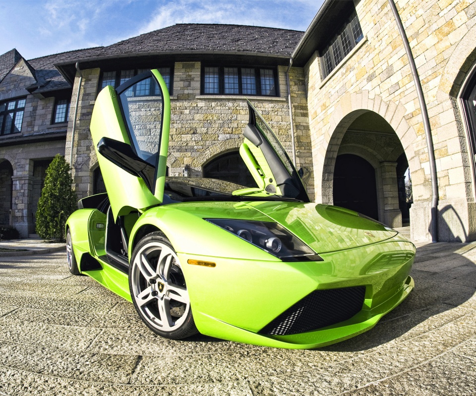 Зеленая ламба обои