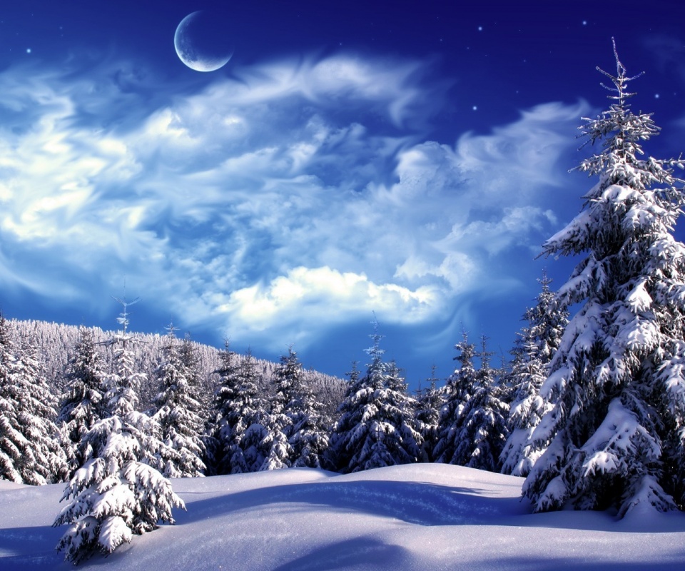 Зимний еловый лес обои