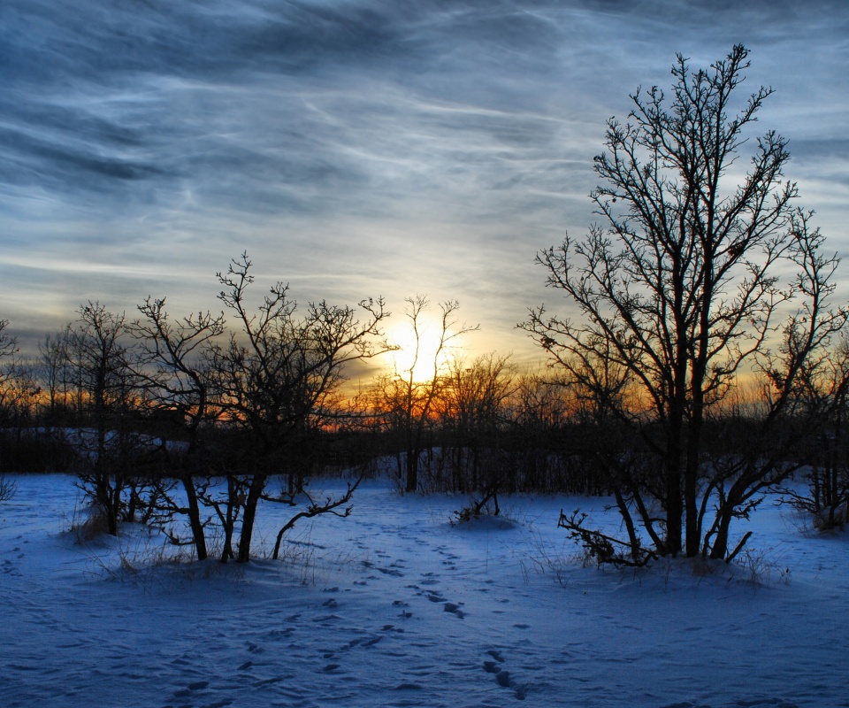 Закат в зимнем лесу обои