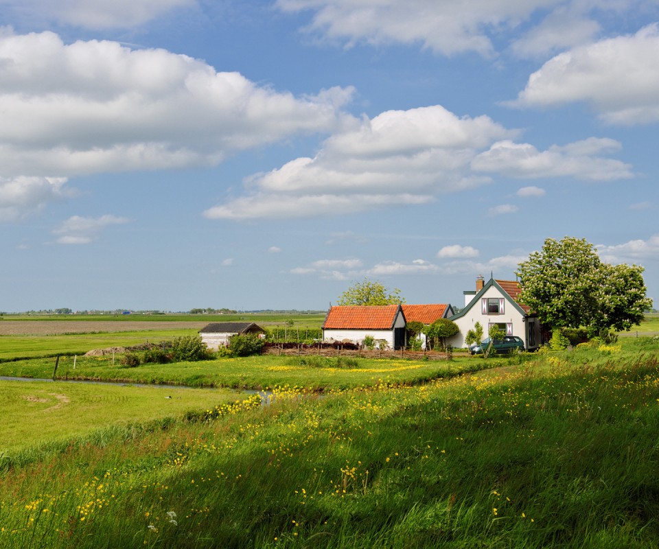 дом на лугу обои