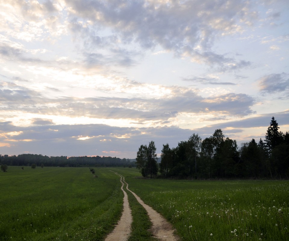 Дорога к лесу обои