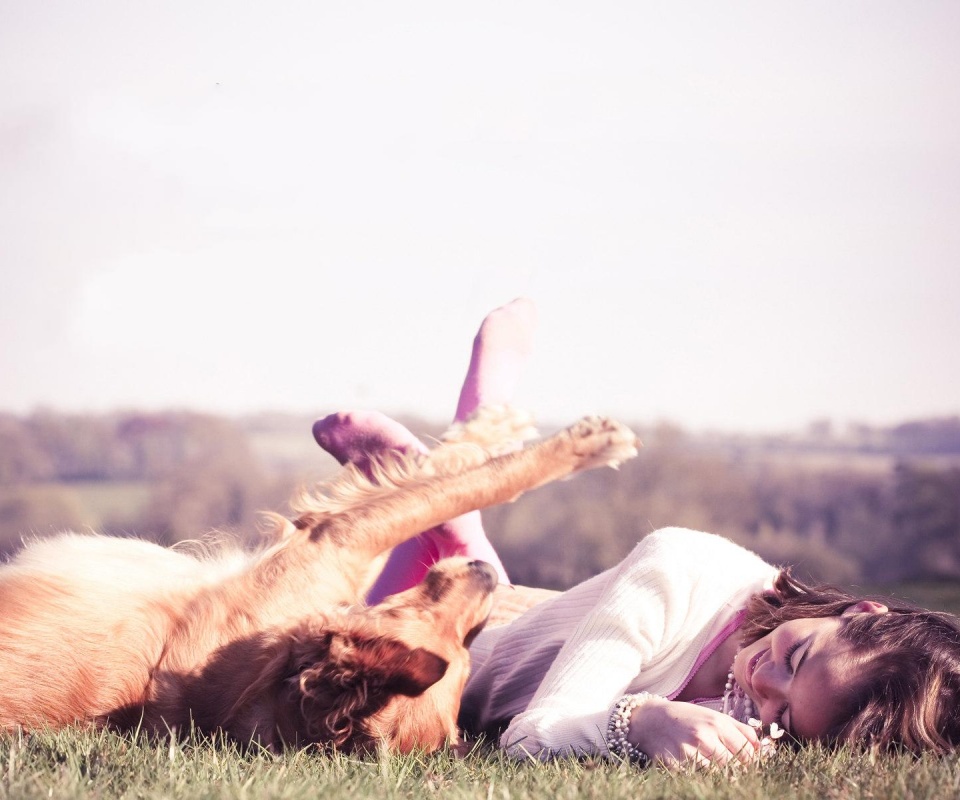 Девушка и собака валяются на траве обои