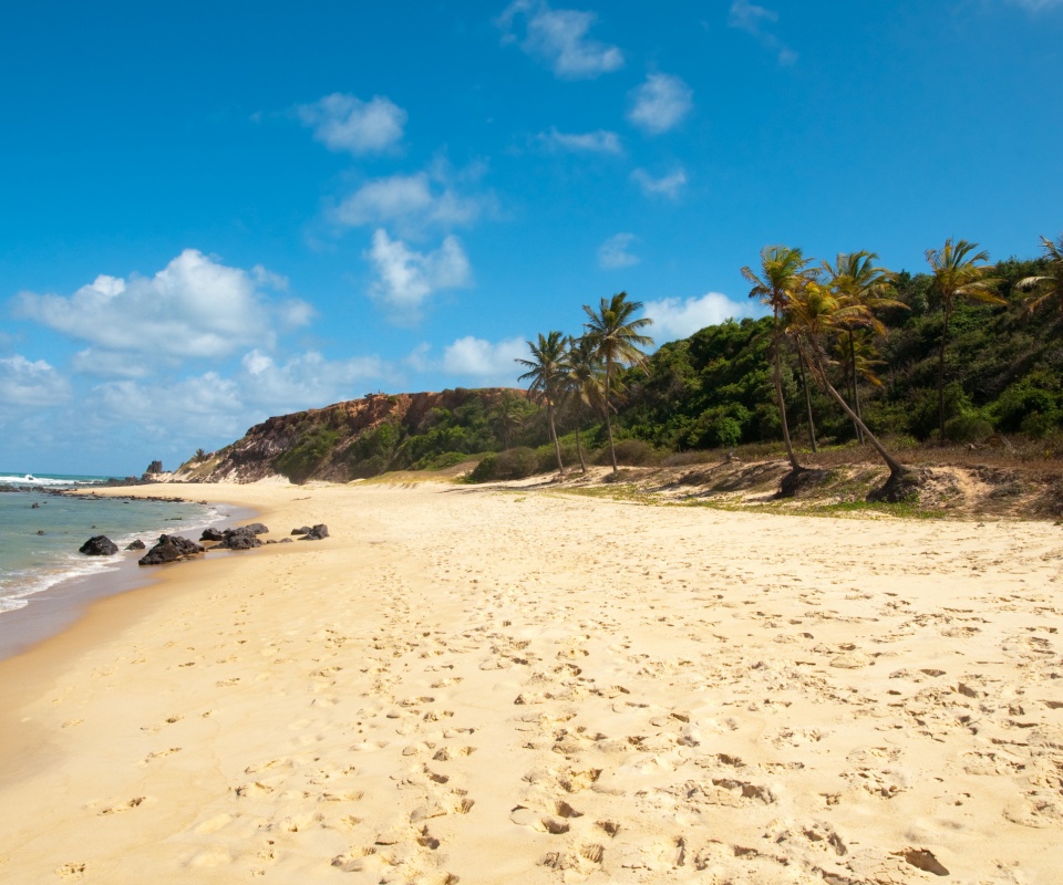 Туры в Бразилию в Лондрину обои