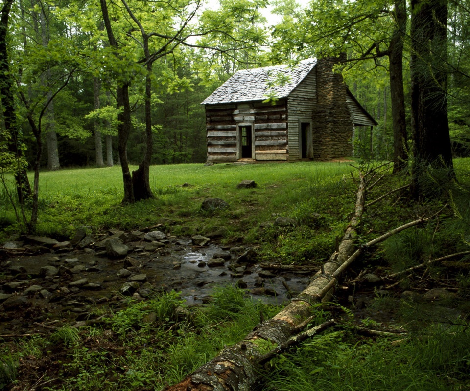 Домик в лесу обои