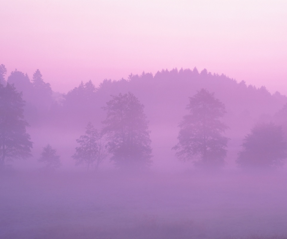 Розовый лес обои