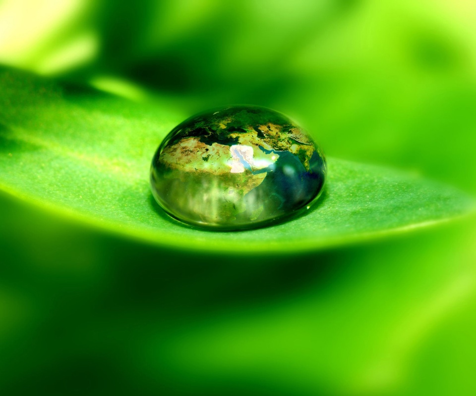 Целый мир в капле воды обои