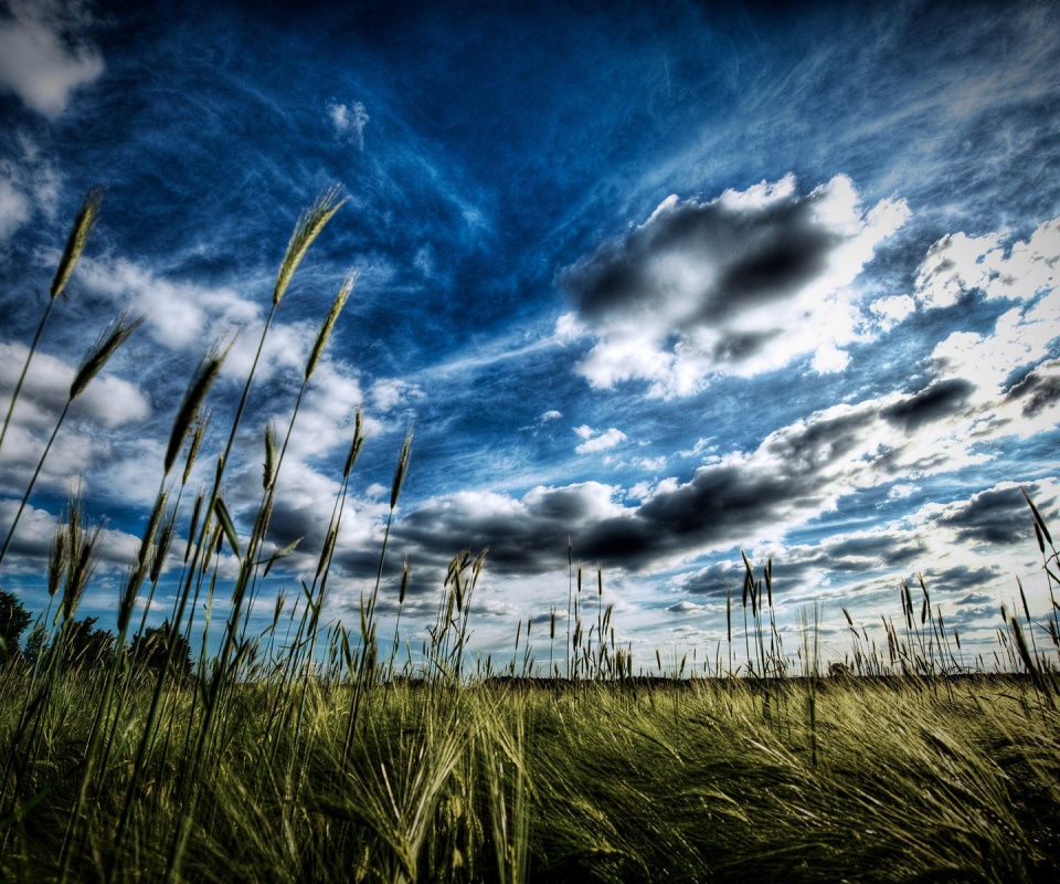 HDR Поле обои