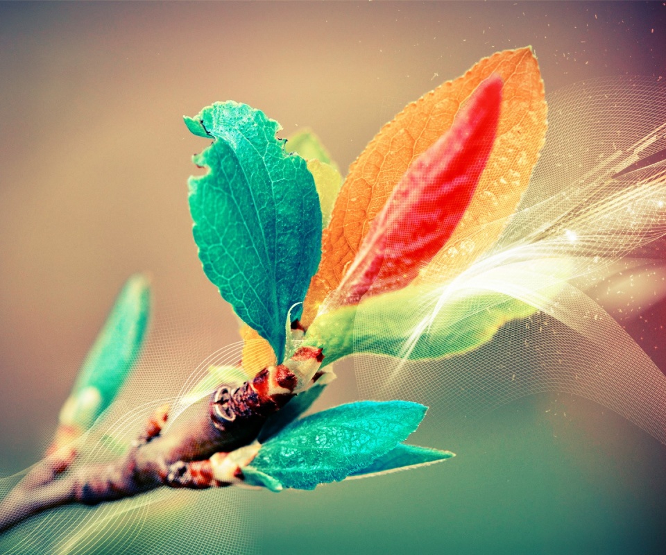 Разноцветные листья обои