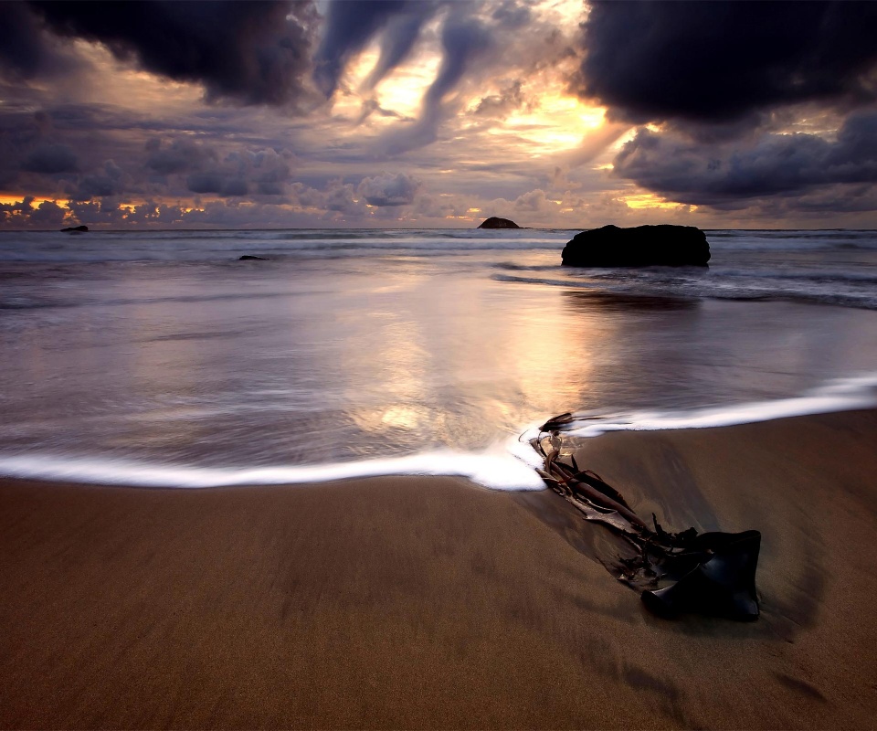 Коряга на пляже обои