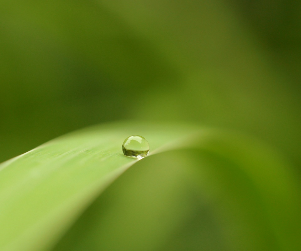 Капелька воды обои