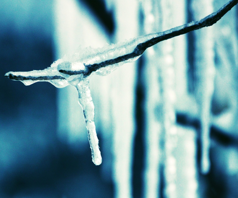 Сосуля обои