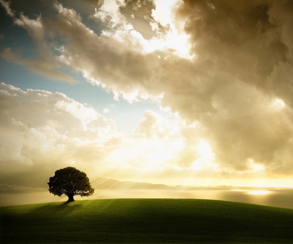 Холм и дерево обои