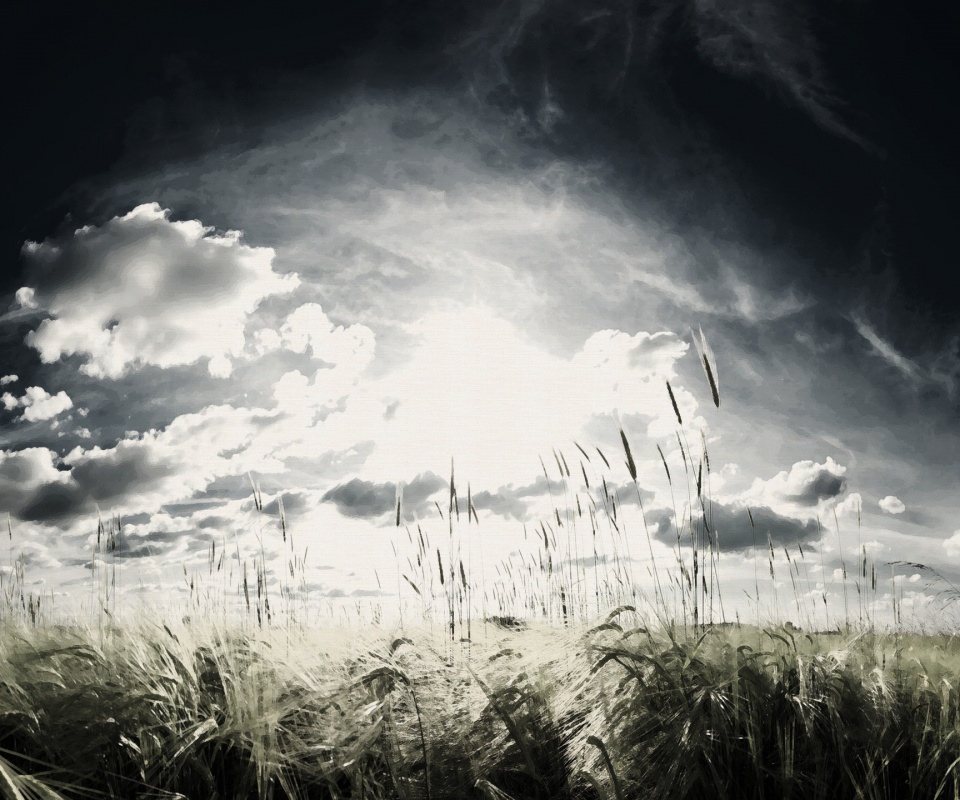 Сюрреалистичная трава обои