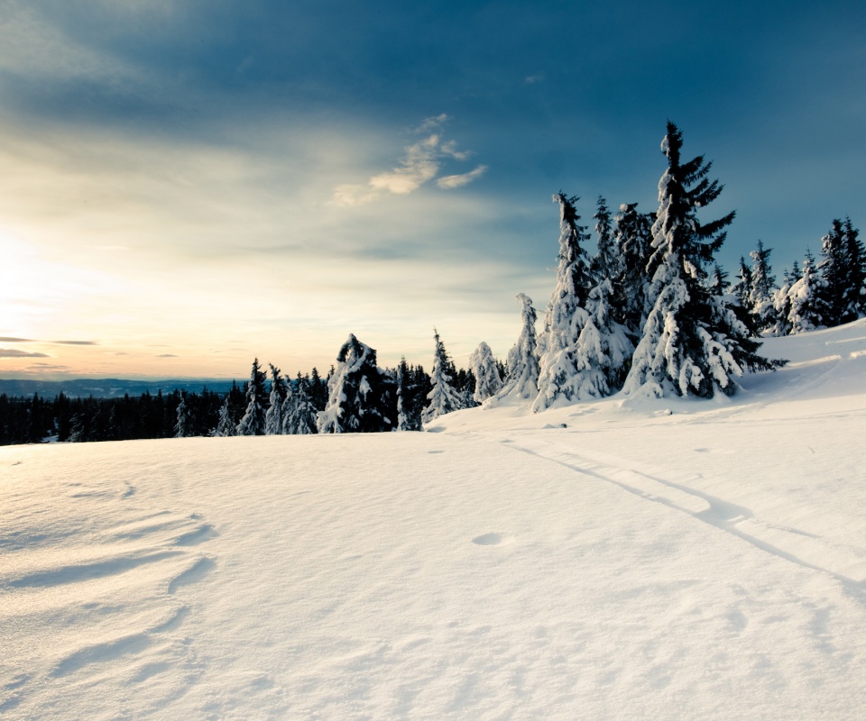 Зимние просторы обои