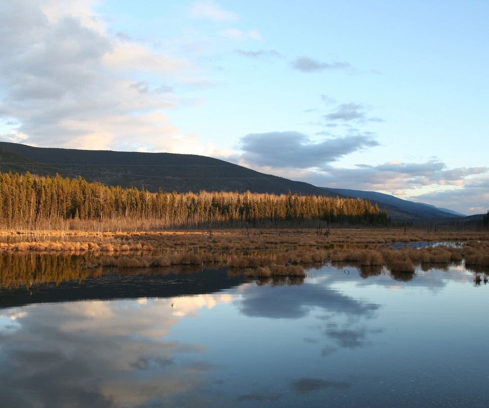 Осеннее озеро обои