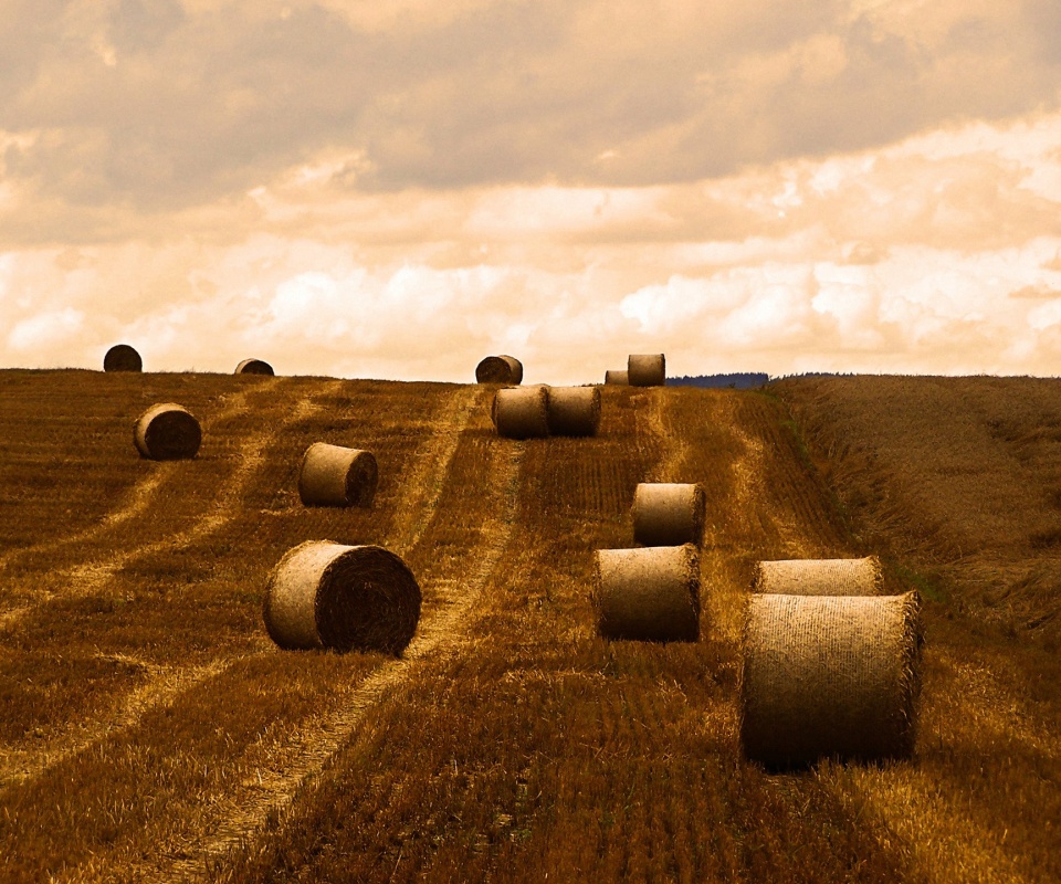 Уборка сена с поля обои