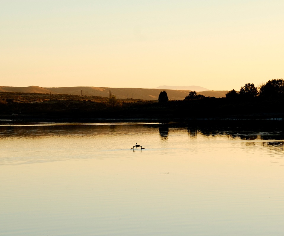 Утиное озеро обои
