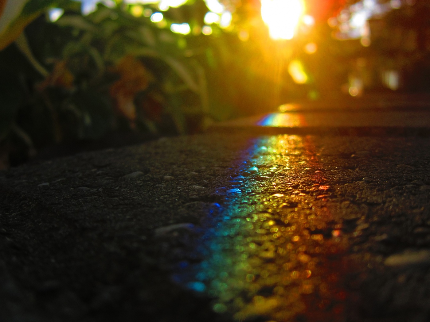 Макро радуга на камне обои