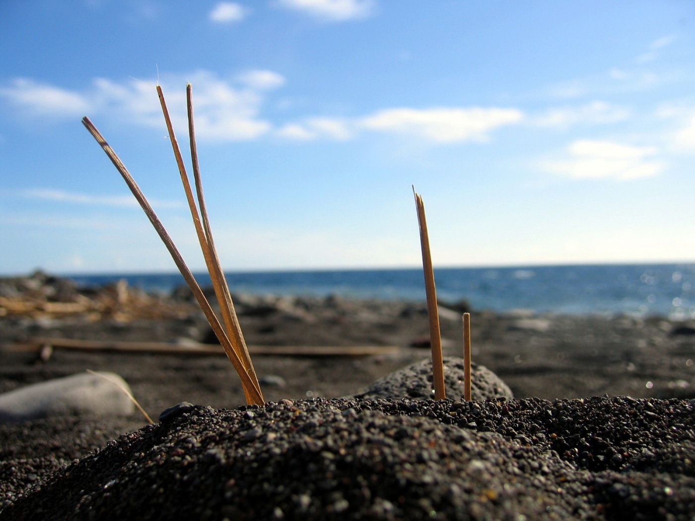 Солома на океанском берегу обои