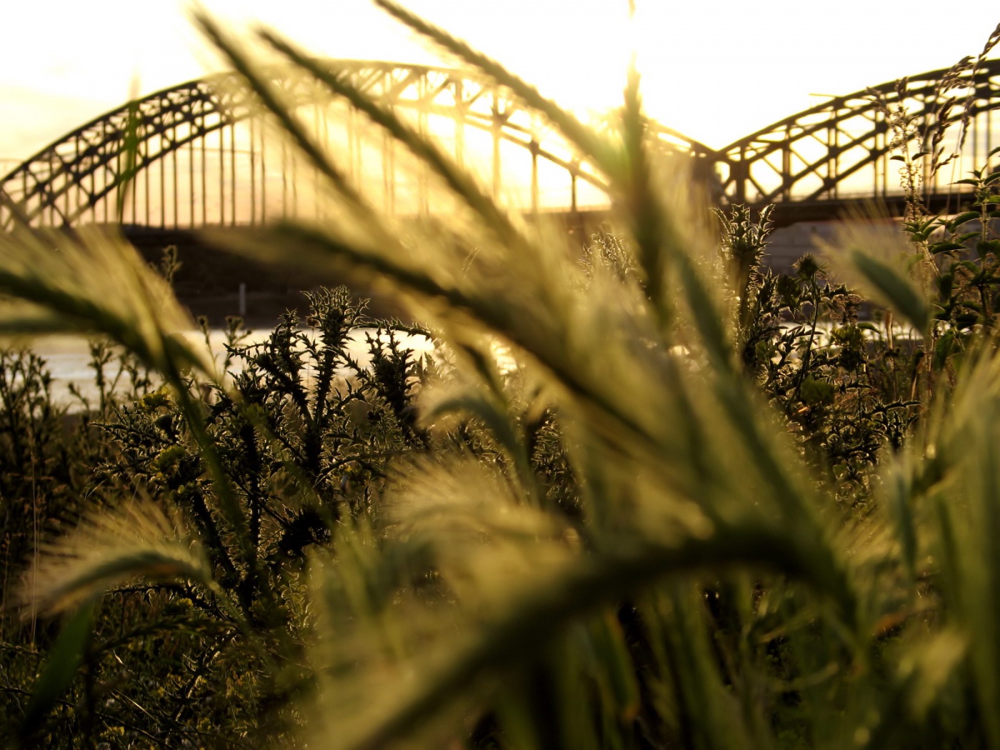 Железнодорожный мост обои
