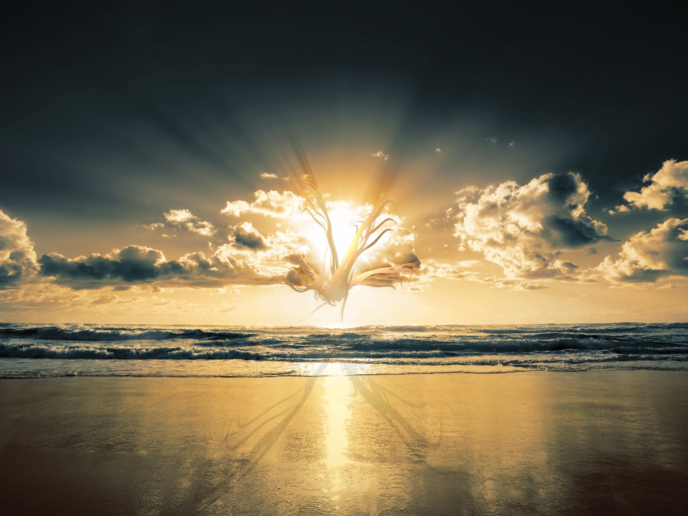 Абстрактные перья на фоне заката обои