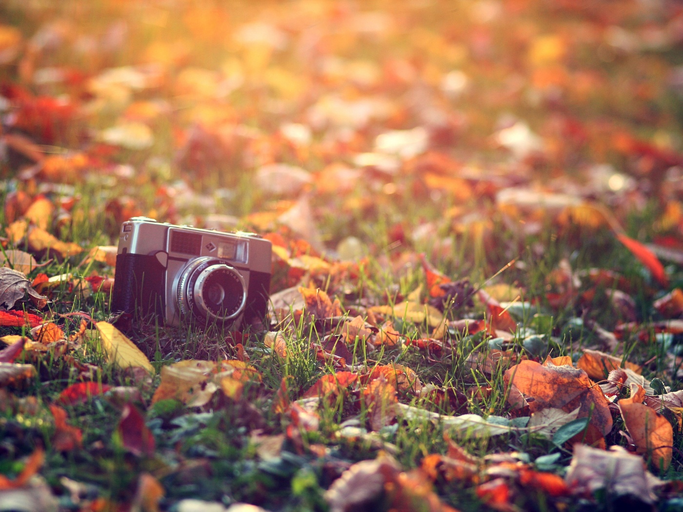 Старый фотоаппарат в траве обои