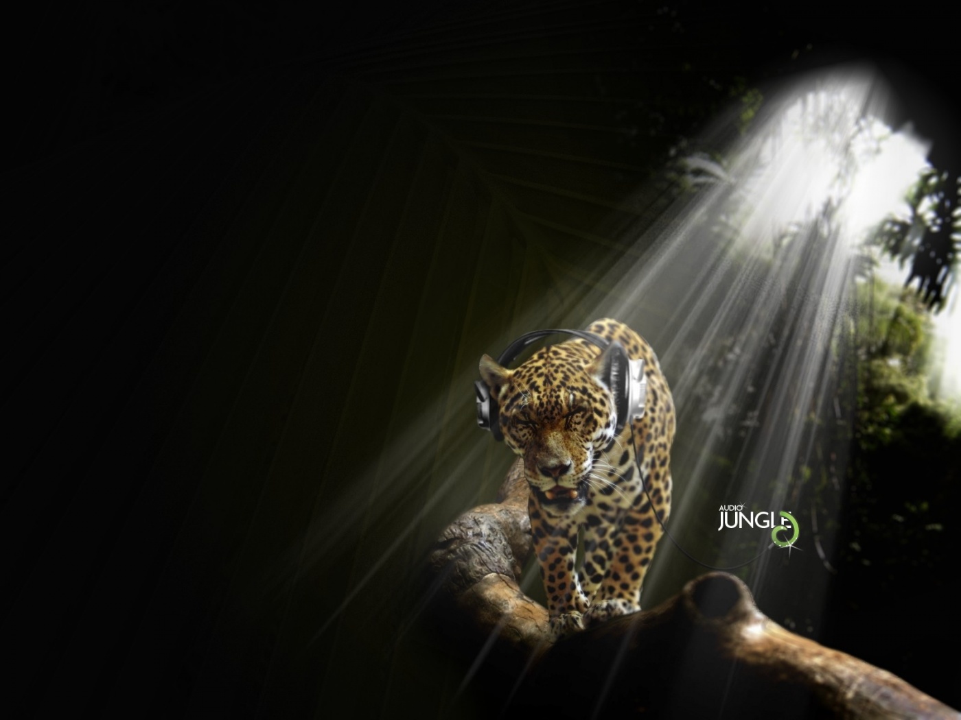 Ягуар в наушниках обои