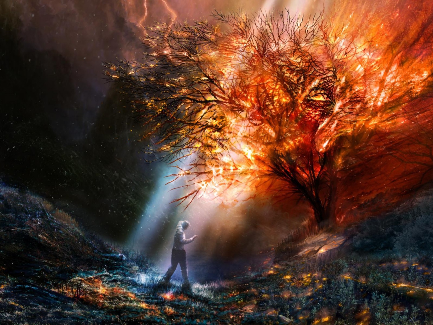 Горящее дерево обои